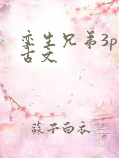 孪生兄弟3ph古文