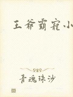 王爷霸宠小甜妻