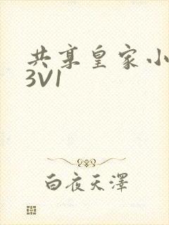 共享皇家小公主3V1