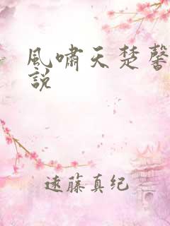 风啸天楚馨月小说