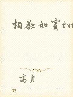 相敬如宾txt