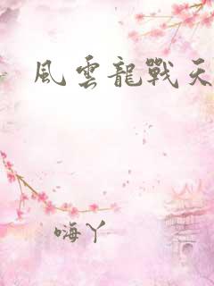 风云龙战天下