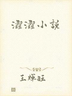 涩涩小说