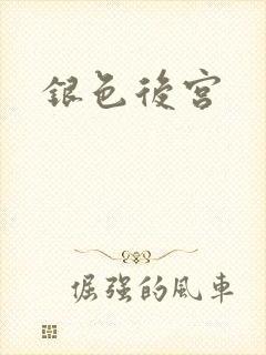 银色后宫