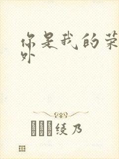 你是我的荣耀番外