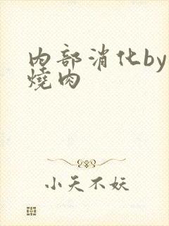 内部消化by红烧肉