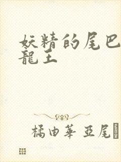 妖精的尾巴之幻龙王