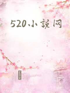 520小说网