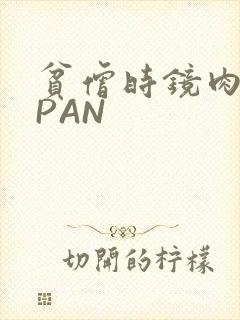 贫僧时镜肉补全PAN