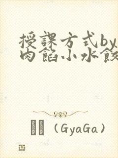 授课方式by 肉馅小水饺