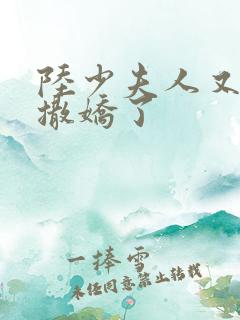 陆少夫人又双叒撒娇了