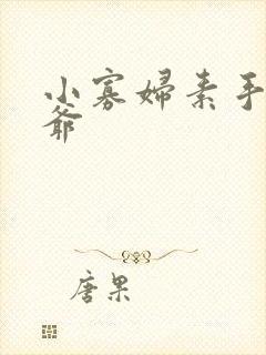 小寡妇素手擒四爷