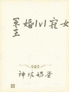 军婚1v1宠女主