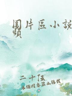 图片区小说区视频