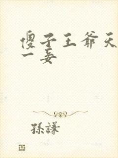 傻子王爷天下第一妾