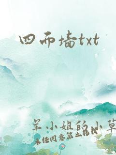 四面墙txt