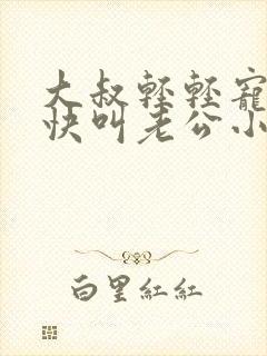 大叔轻轻宠宝贝快叫老公小说