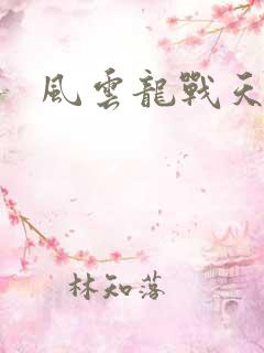 风云龙战天下