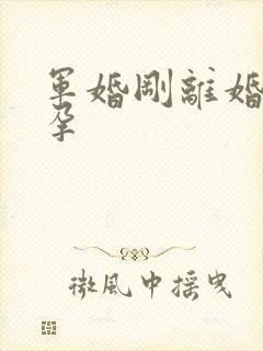 军婚刚离婚就怀孕