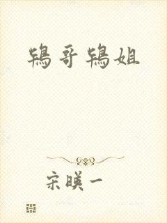 鸨哥鸨姐