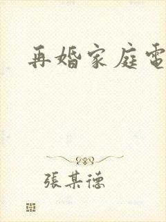 再婚家庭电视剧