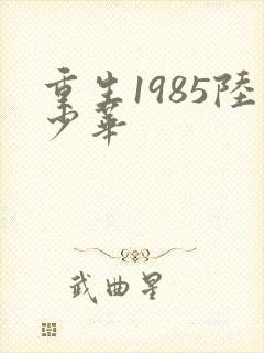 重生1985陆少华