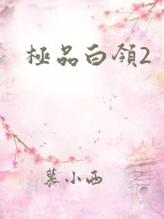 极品白领2