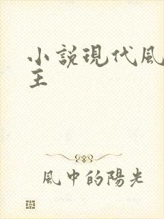 小说现代风流霸主