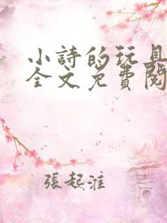 小诗的玩具日记全文免费阅读