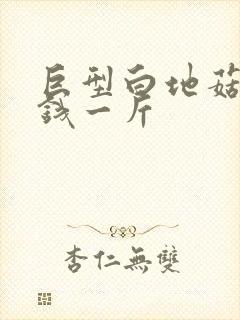 巨型白地菇多少钱一斤