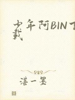 少年阿BIN下载