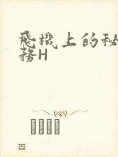 飞机上的秘密服务H