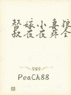 替嫁小妻狼性大叔夜夜疼全文免费阅读