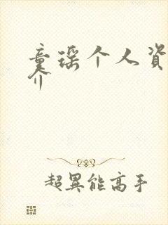 童瑶个人资料简介