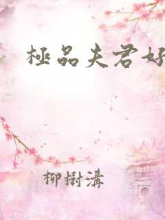 极品夫君好又多