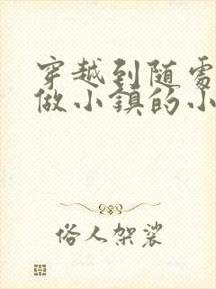 穿越到随处可以做小镇的小说