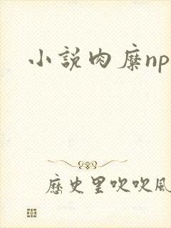 小说肉糜np