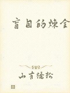 盲目的炼金术师