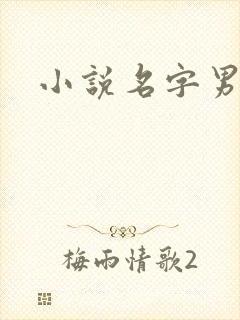 小说名字男生