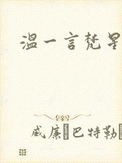 温一言梵星小说