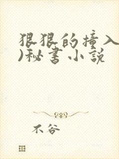 狠狠的撞入(h)秘书小说