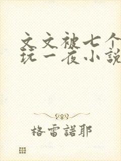 文文被七个男人玩一夜小说