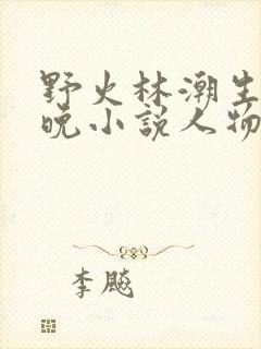 野火林潮生林晚晚小说人物野火