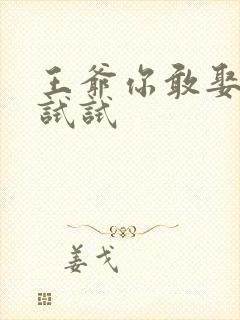 王爷你敢娶小三试试