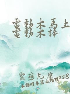 电动木马上两个电动木棒