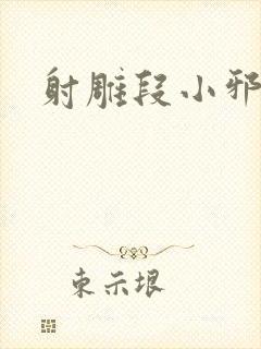 射雕段小邪传
