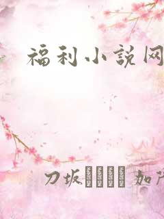 福利小说网