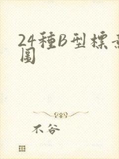 24种B型标意图