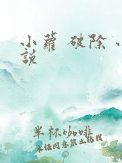 小萝 破除 小说