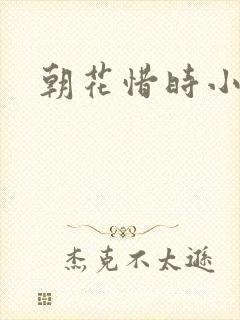 朝花惜时小说
